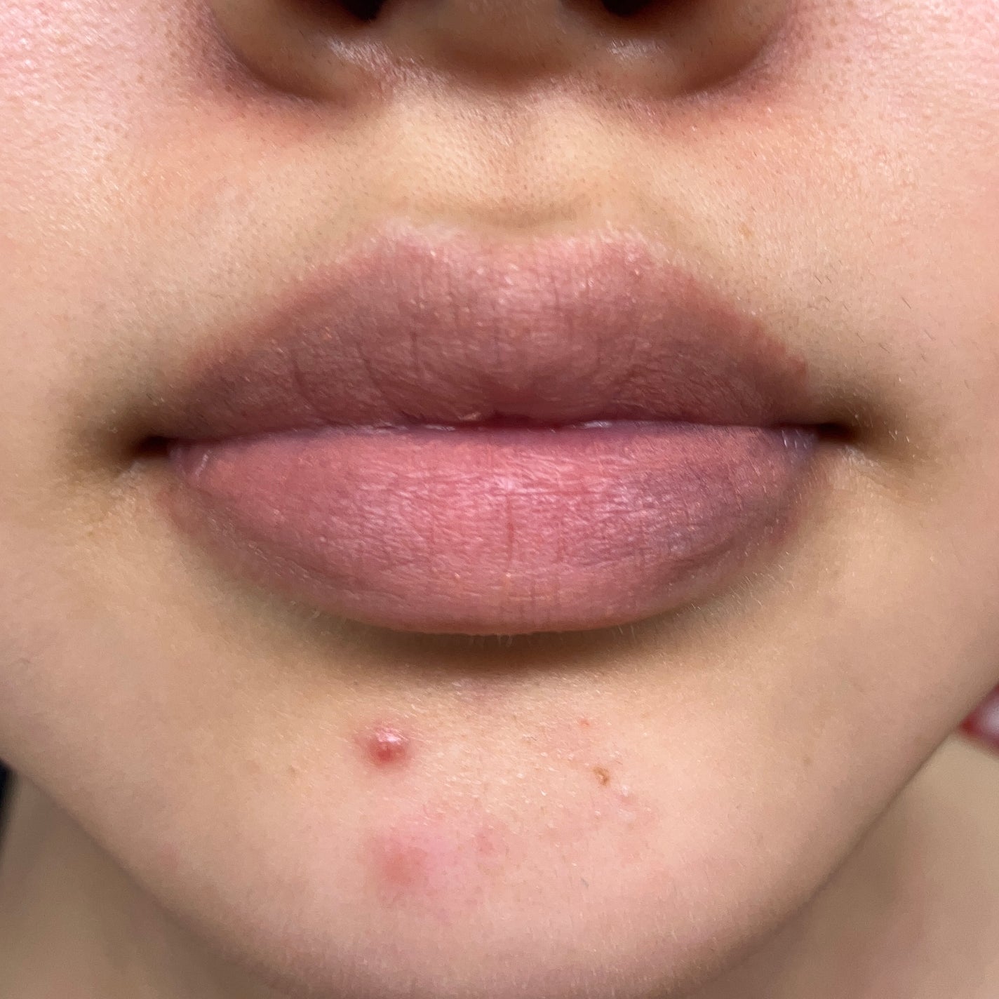 オールマイシングス トゥルービューティー デザイニング リップペンシル/all my things/リップライナーを使ったクチコミ(2枚目)