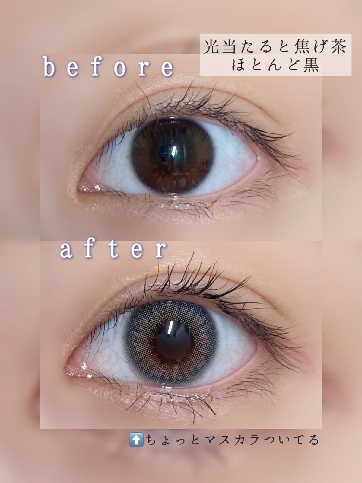 MOLAK 1month/MOLAK/1ヶ月(1MONTH)カラコンを使ったクチコミ(2枚目)