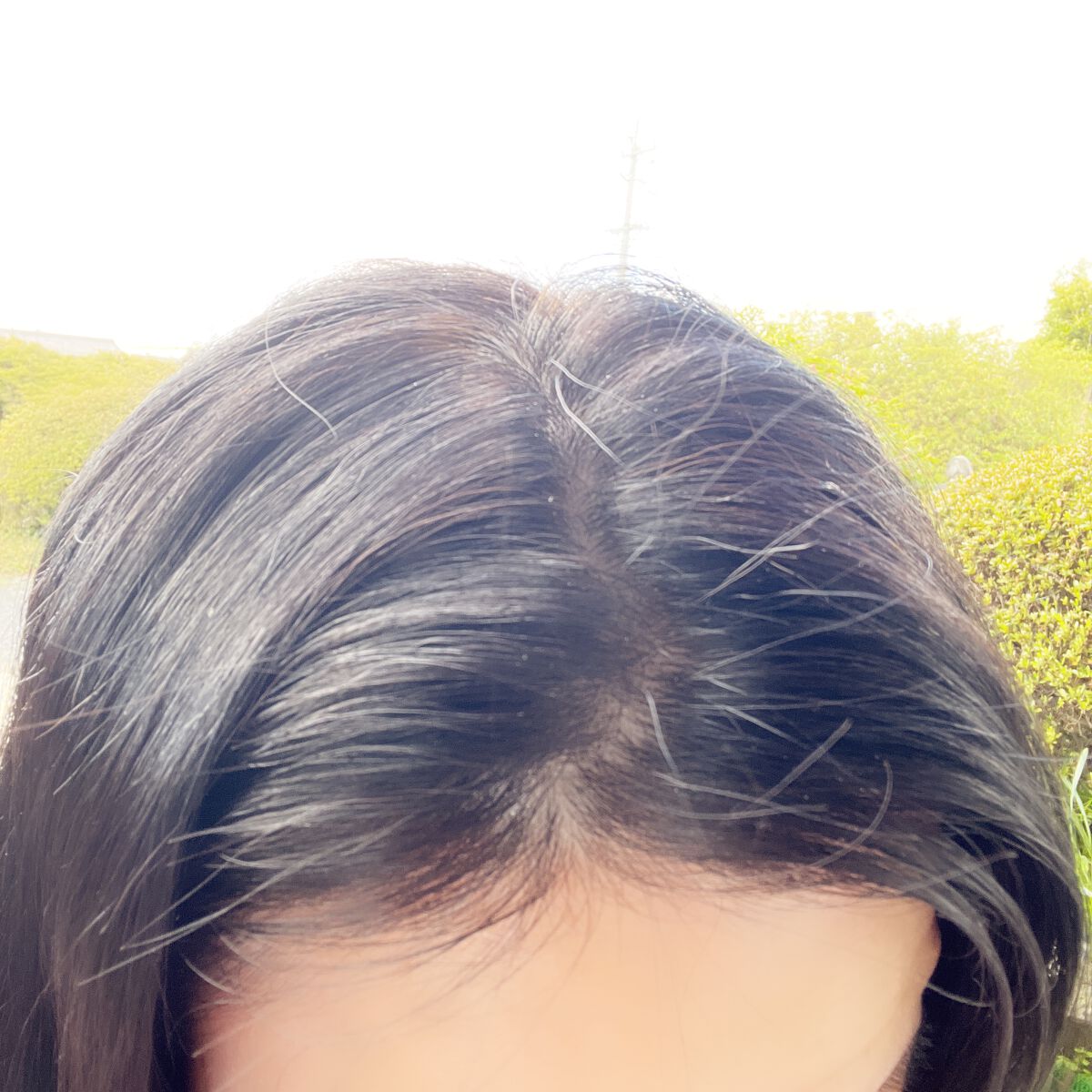 Wellage モイスト＆カラー カラートリートメント のクチコミ「ウォームブラウン・ダークブラウン・ナチュラルブラックの3色展開です。
今回私はダークブラウン.....」（2枚目）