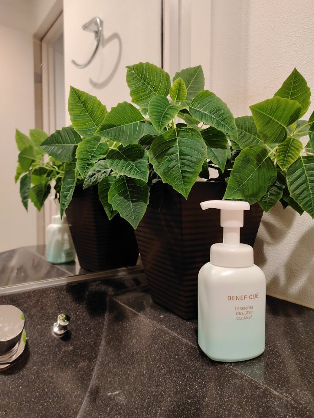 エッセンシャル ワンステップクレンズ/BENEFIQUE/泡洗顔を使ったクチコミ（1枚目）