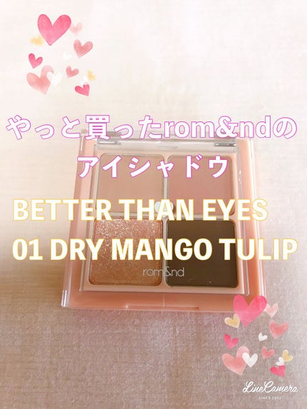 「塗るつけまつげ」ボリュームタイプ/デジャヴュ/マスカラを使ったクチコミ(1枚目)