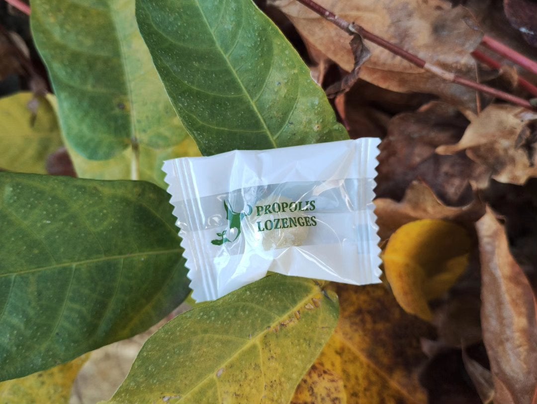 mcgroupakiko on LIPS 「乾燥が激しく喉が命の司会者にとっては、辛い季節になりました空気..」(3枚目)