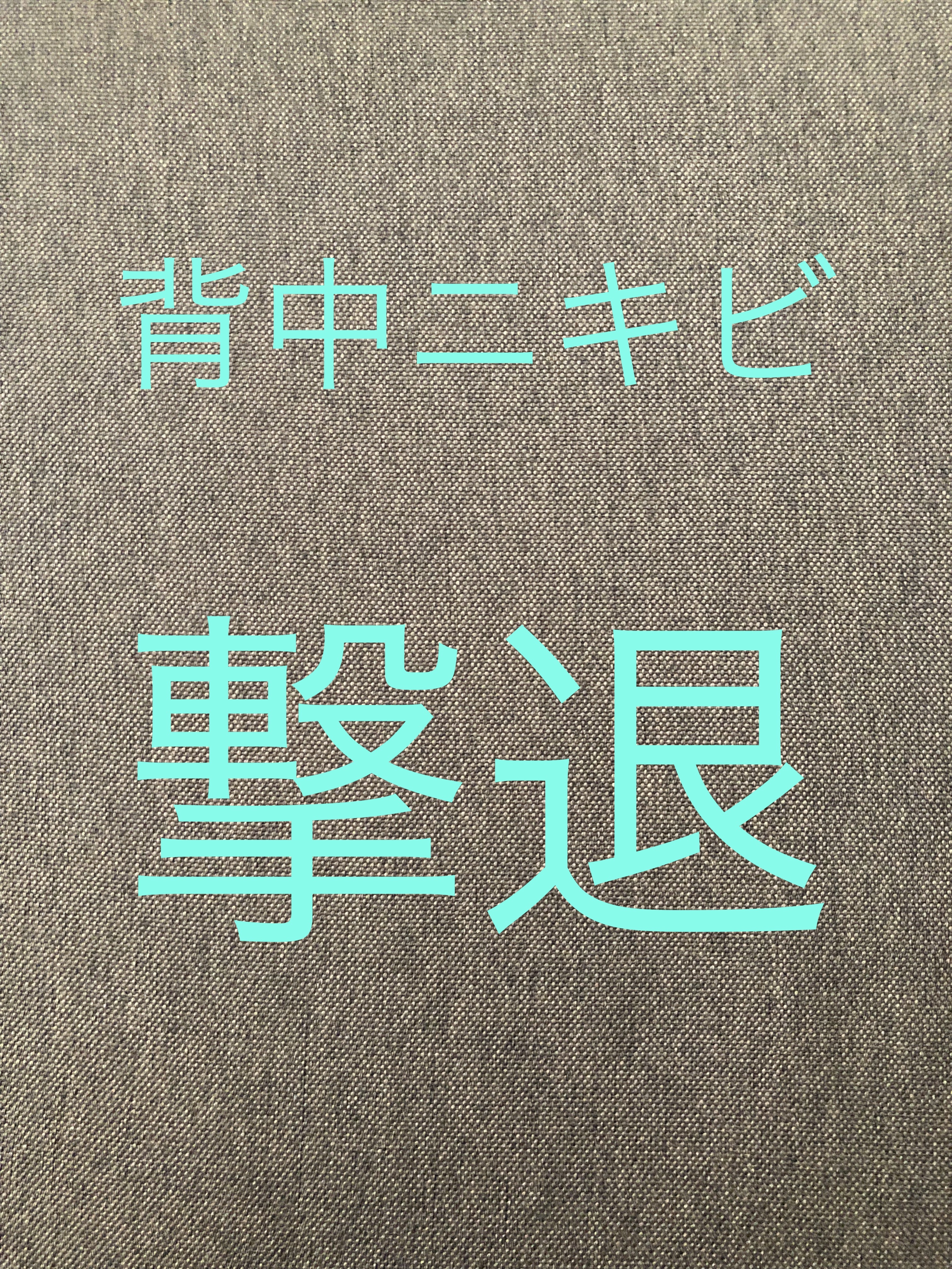 薬用パウダー化粧水/メンソレータム アクネス/化粧水を使ったクチコミ（1枚目）