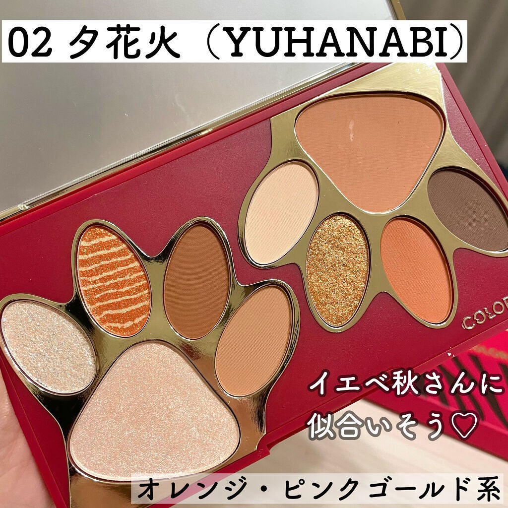 トラ十色アイシャドウパレット/COLORKEY/アイシャドウパレットを使ったクチコミ(4枚目)