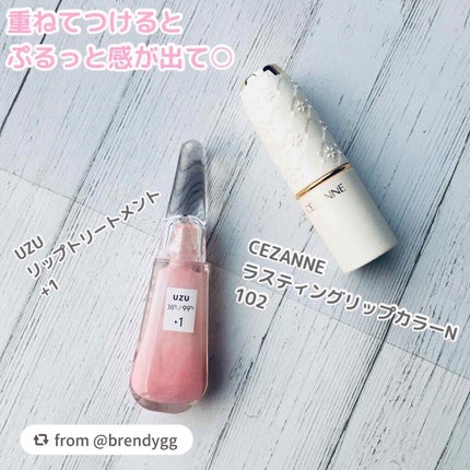 ラスティング リップカラーN/CEZANNE/口紅を使ったクチコミ(2枚目)