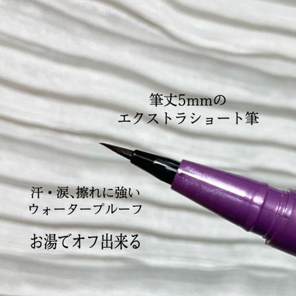 「密着アイライナー」ショート筆リキッド/デジャヴュ/リキッドアイライナーを使ったクチコミ(2枚目)