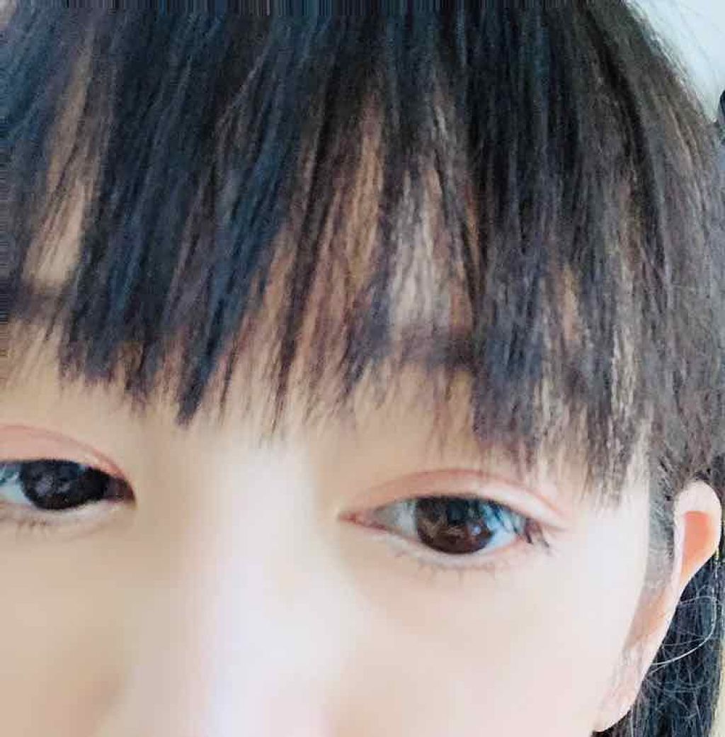 カラーパレット/パラドゥ/マルチパレットを使ったクチコミ（2枚目）