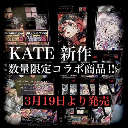 ザ アイカラーズセレクト(YOKU) /KATE/アイシャドウパレットを使ったクチコミ(1枚目)