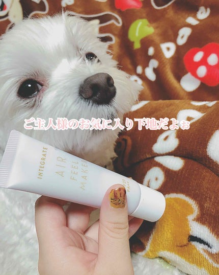 エアフィールメーカー/インテグレート/化粧下地を使ったクチコミ(1枚目)