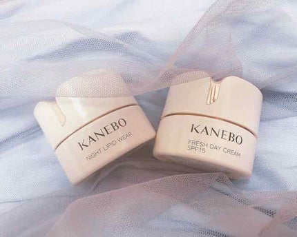 カネボウ フレッシュ デイ クリーム/KANEBO/化粧下地を使ったクチコミ(1枚目)