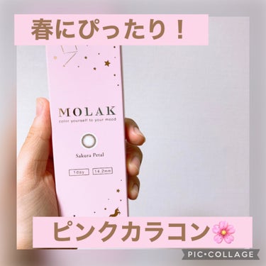 MOLAK 1day/MOLAK/ワンデー（１DAY）カラコンを使ったクチコミ（1枚目）