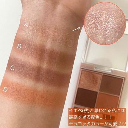 シルキースフレアイズ(マットタイプ)/キャンメイク/アイシャドウパレットを使ったクチコミ(3枚目)