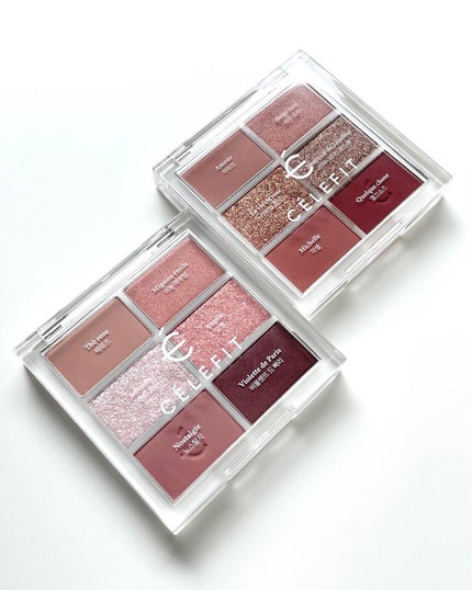 プロアイシャドウパレットセシル/CELEFIT/アイシャドウパレットを使ったクチコミ(1枚目)