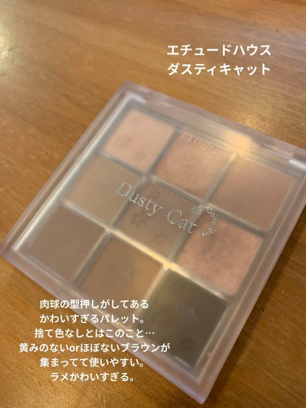 スキニーリッチシャドウ/excel/アイシャドウパレットを使ったクチコミ(6枚目)