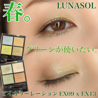 アイカラーレーション EX13 Modern Attitude（限定発売）/LUNASOL/アイシャドウパレットを使ったクチコミ（1枚目）