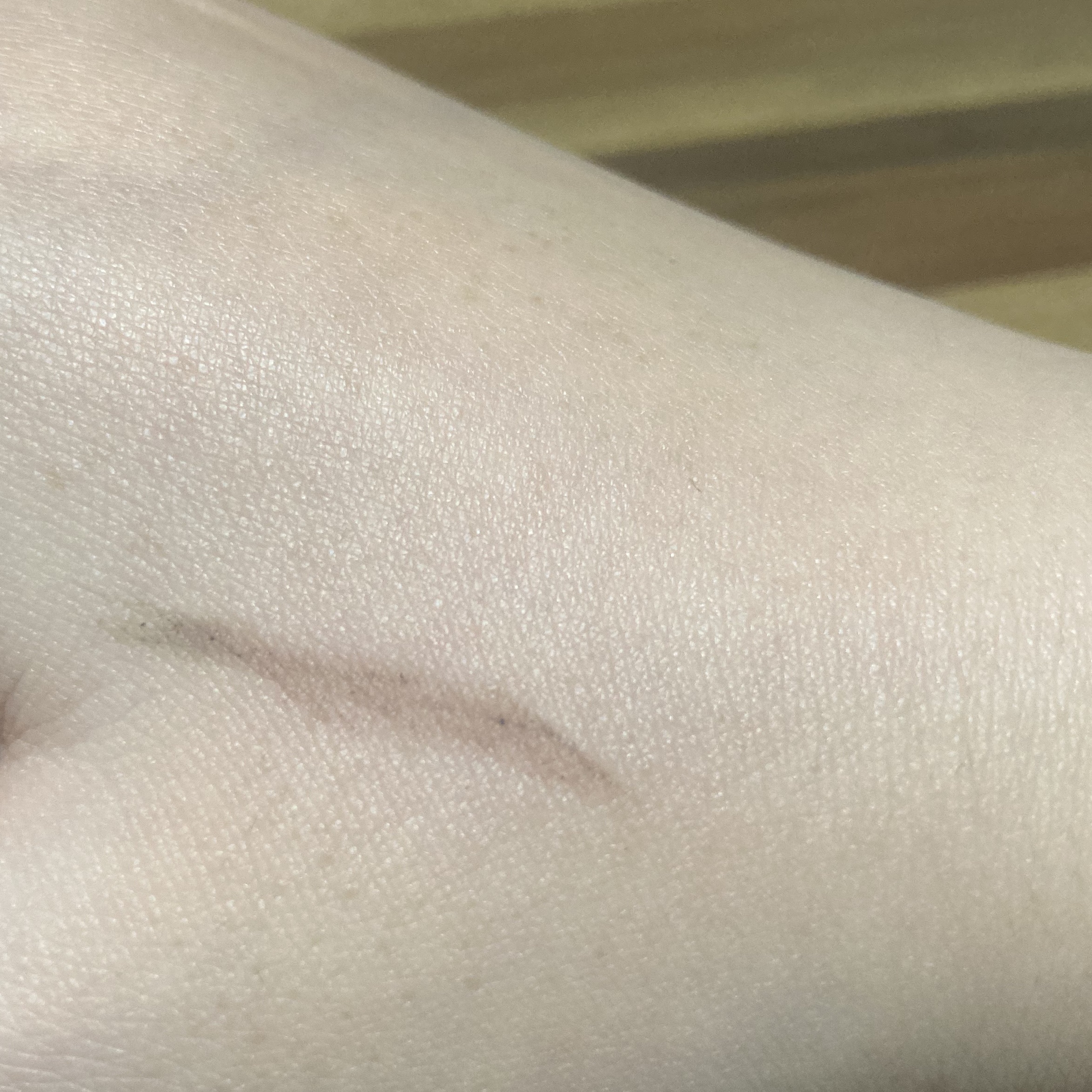 超細芯アイブロウ/CEZANNE/アイブロウペンシルを使ったクチコミ（2枚目）