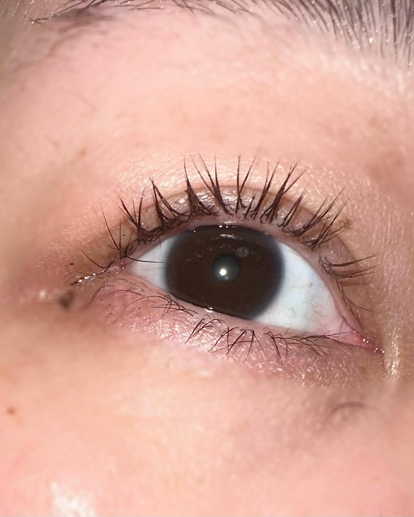 シルキーリキッドアイライナーWP/D-UP/リキッドアイライナーを使ったクチコミ（3枚目）