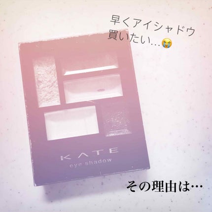 グラムトリックアイズ/KATE/アイシャドウパレットを使ったクチコミ(1枚目)