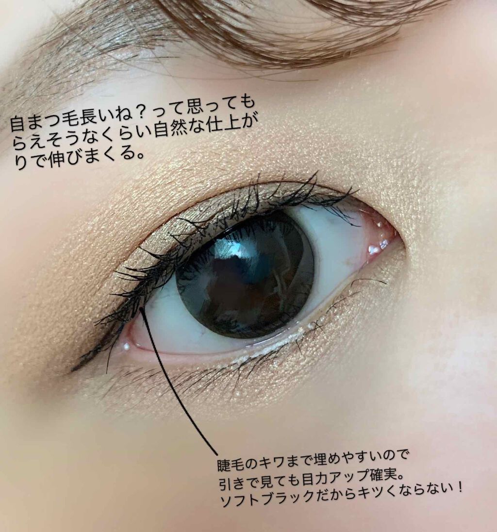 パーフェクトエクステンション マスカラ/D-UP/マスカラを使ったクチコミ(4枚目)