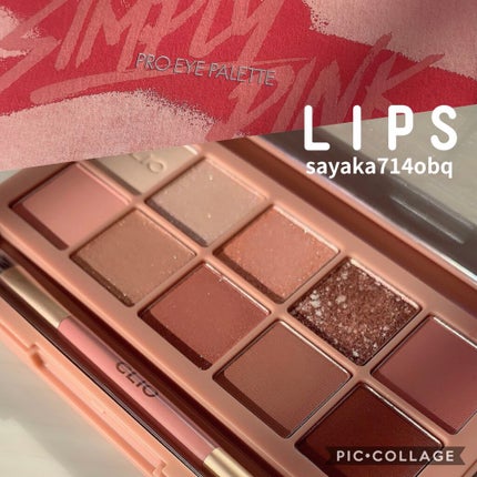 プロ アイ パレット/CLIO/アイシャドウパレットを使ったクチコミ(1枚目)