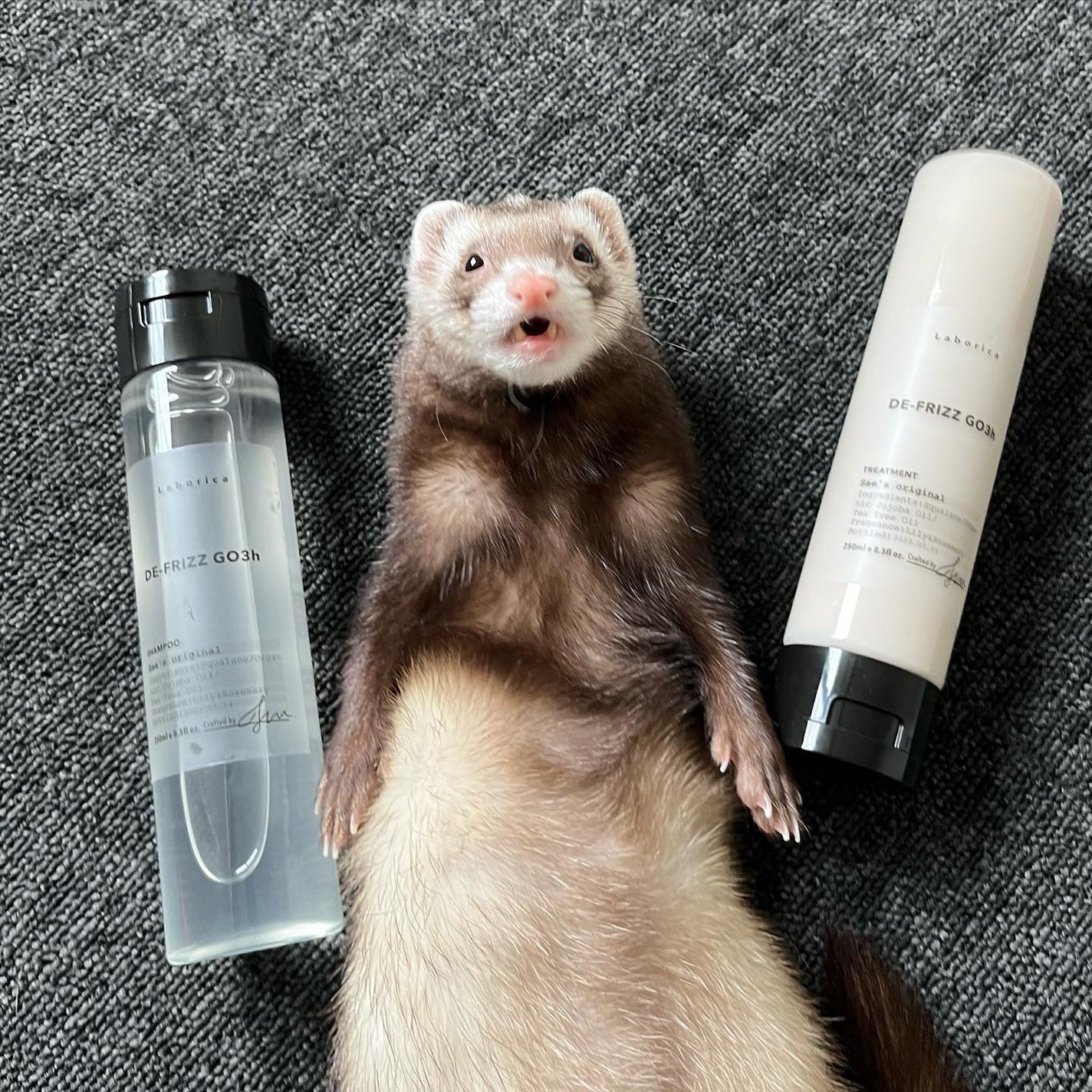 パーソナライズ シャンプー/トリートメント/Laborica(ラボリカ)/市販シャンプーを使ったクチコミ(5枚目)