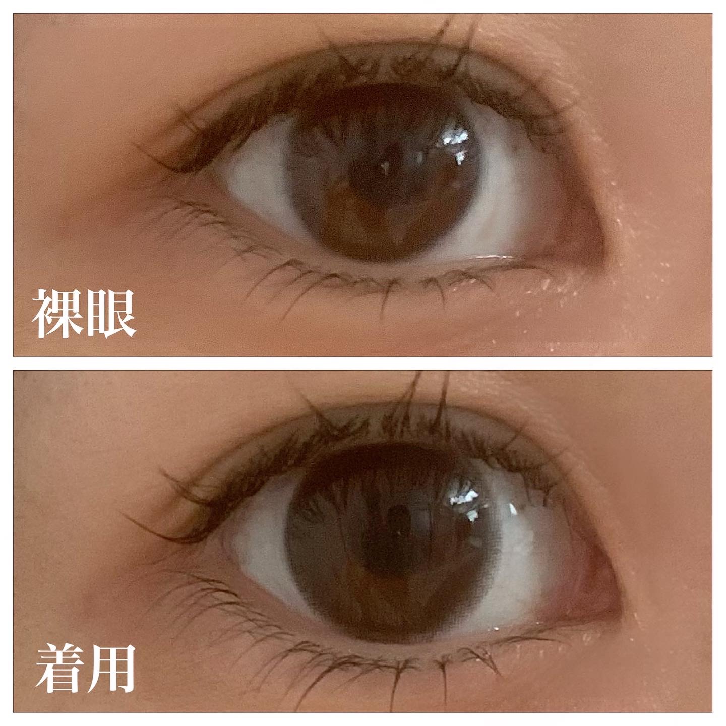 エバーカラーワンデーミリモア はじらいベイビー/エバーカラー/ワンデー（１DAY）カラコンを使ったクチコミ（2枚目）