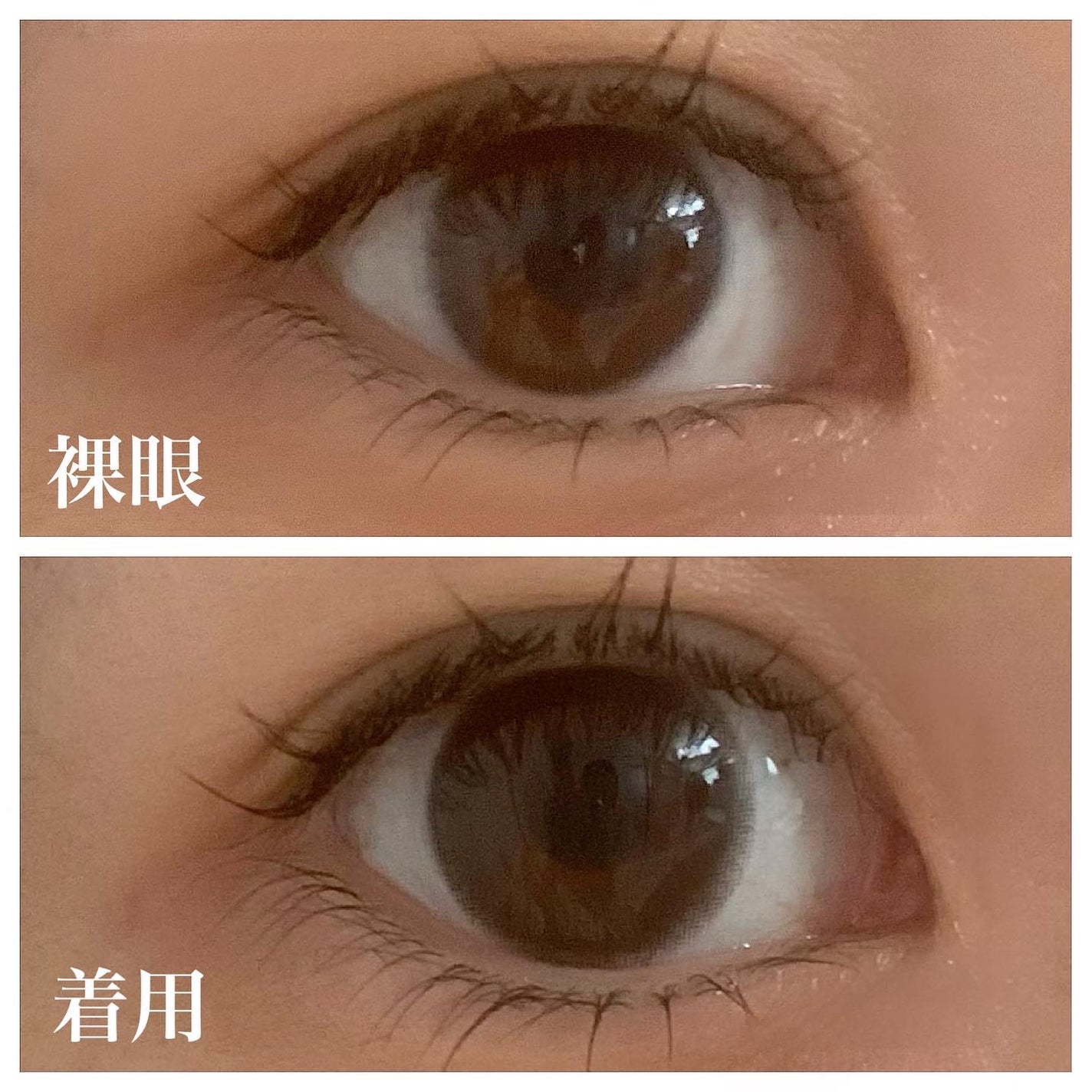 エバーカラーワンデーミリモア/エバーカラー/ワンデー(1DAY)カラコンを使ったクチコミ(2枚目)