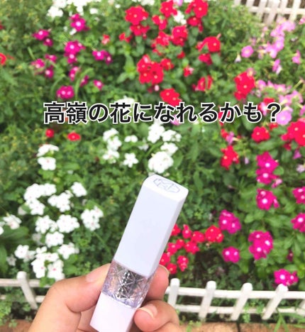 モイストエッセンスルージュ/S SELECT/リップグロスを使ったクチコミ(1枚目)