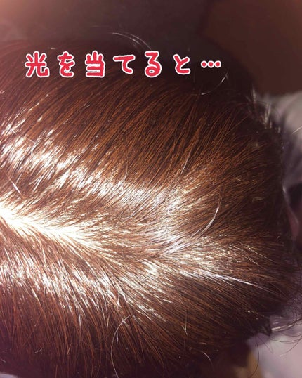 P😈 on LIPS 「初めまして✨✨Pと申します〜〜実は私…昨日で校則という拘束から..」(4枚目)