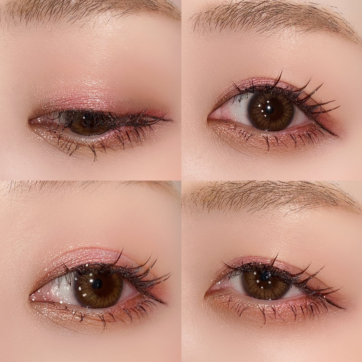 エクスプローラ12色 動物アイシャドウパレット/PERFECT DIARY/アイシャドウパレットを使ったクチコミ(9枚目)