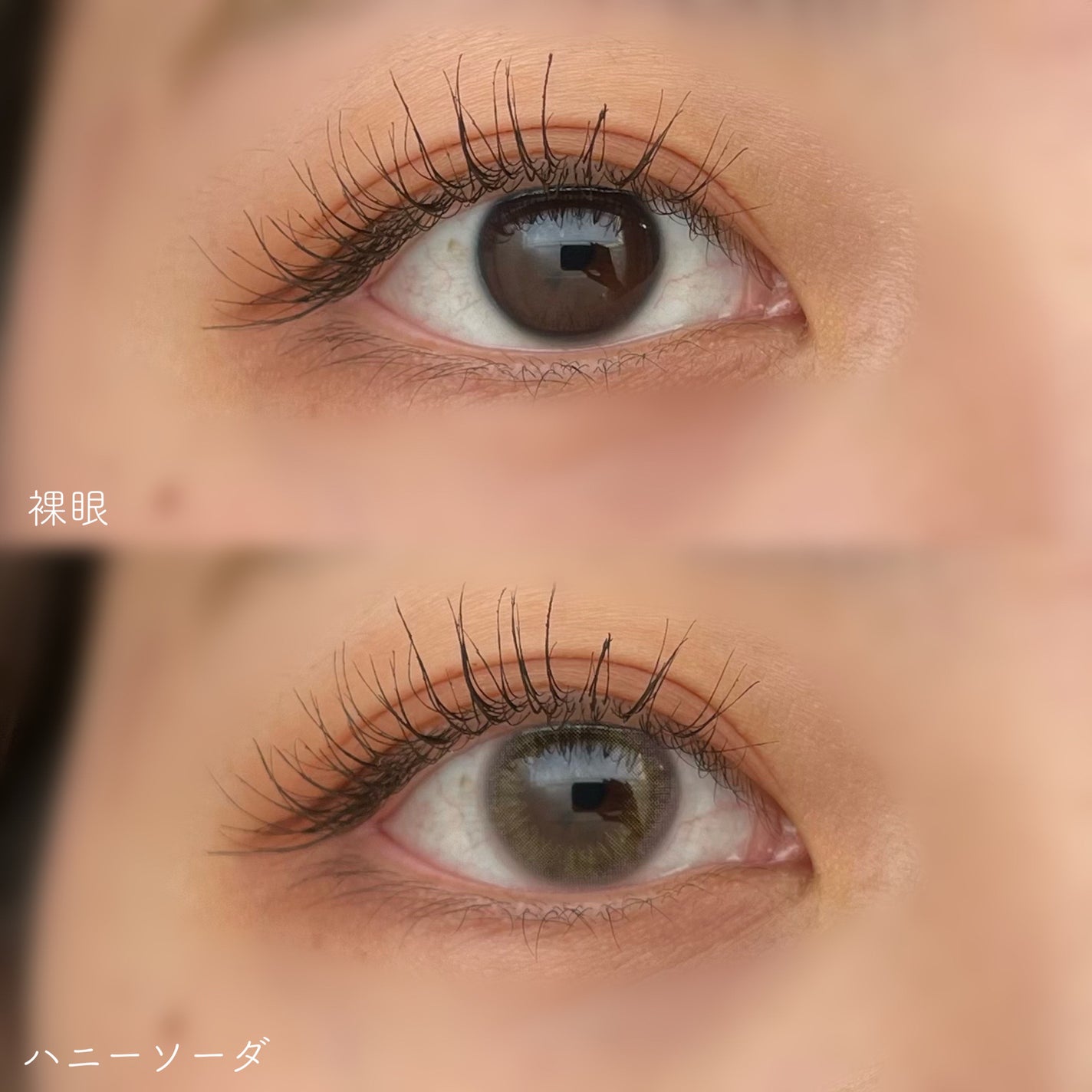 mimuco 1day/mimuco/ワンデー(1DAY)カラコンを使ったクチコミ(2枚目)