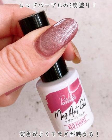 パルP マグアートジェル/parkikoi/ジェルネイルを使ったクチコミ(6枚目)