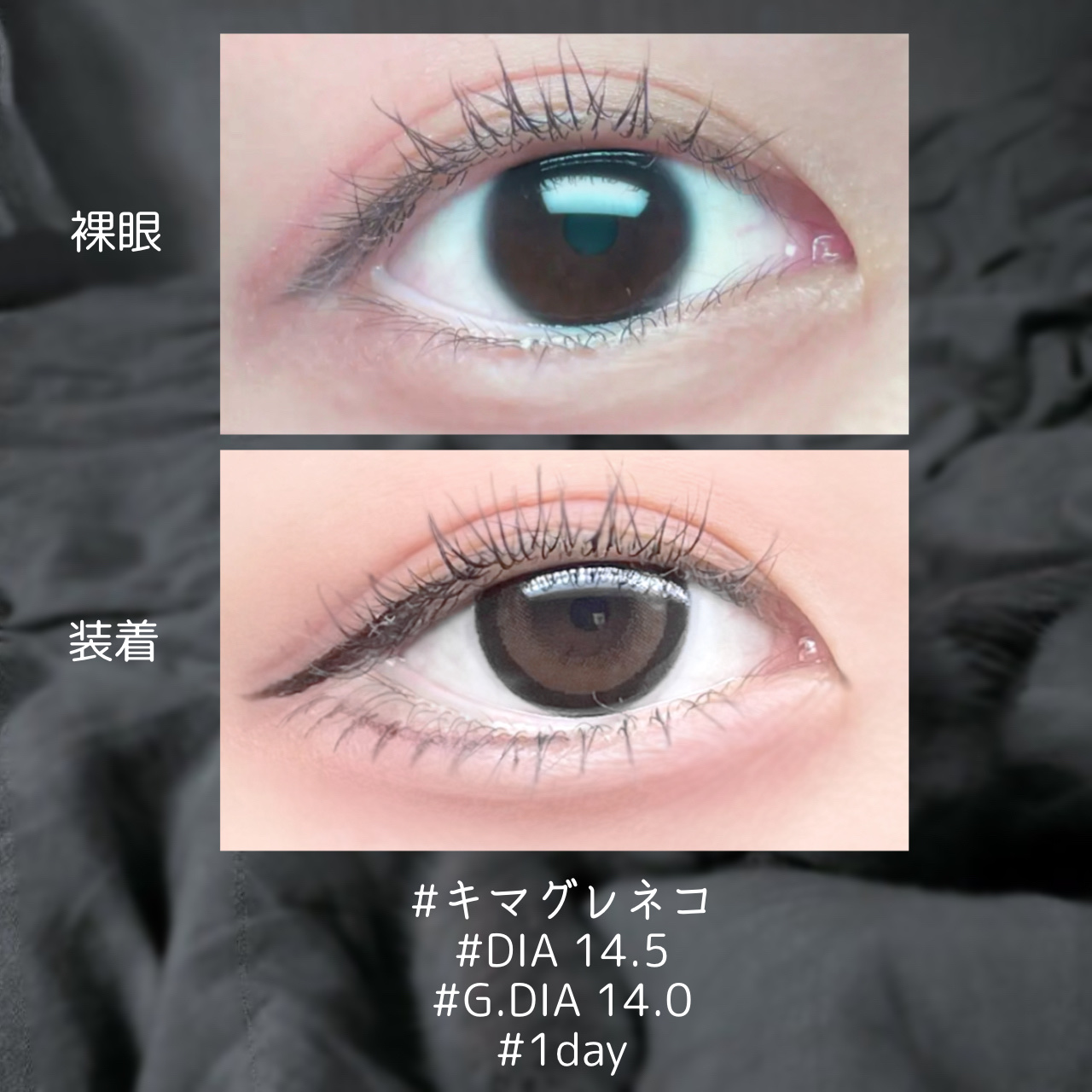 Flurry by colors 1day リングダークブラウン(キマグレネコ)/Flurry by colors/ワンデー（１DAY）カラコンを使ったクチコミ（2枚目）