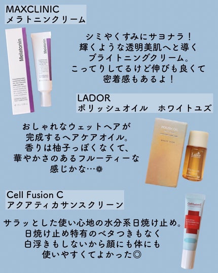 リードルS リッププランパービギナー/VT/リッププランパーを使ったクチコミ(6枚目)