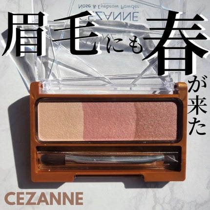 ノーズ&アイブロウパウダー/CEZANNE/パウダーアイブロウを使ったクチコミ(1枚目)