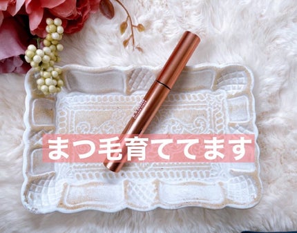 11mmアイラッシュセラム/11mm/まつげ美容液を使ったクチコミ(1枚目)