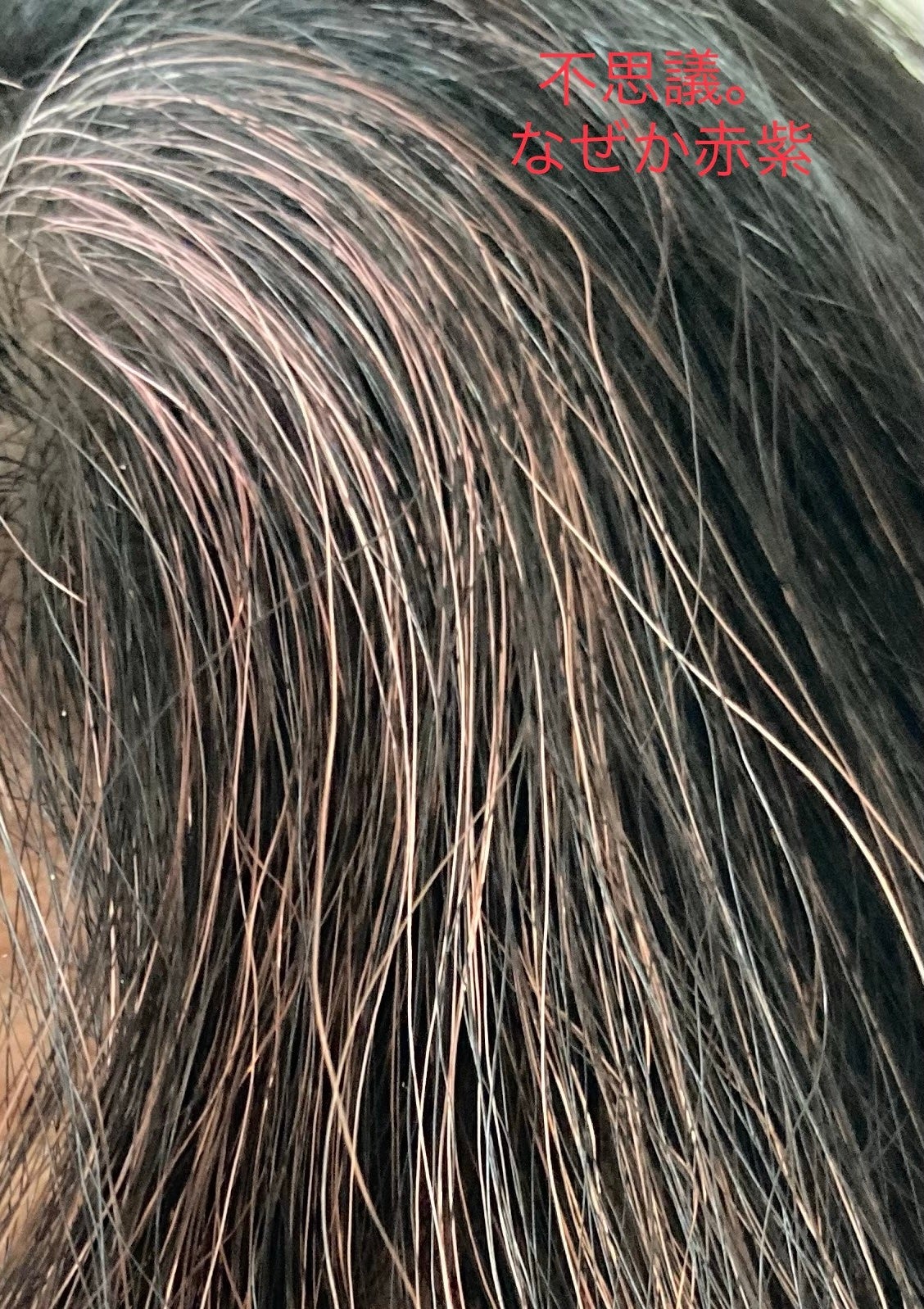 ブローネ カラートリートメント/ブローネ/ヘアカラーを使ったクチコミ(10枚目)