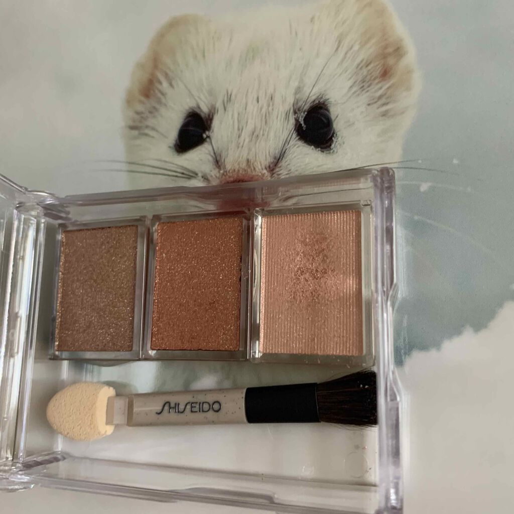 シャドーカスタマイズ/MAJOLICA MAJORCA/単色アイシャドウを使ったクチコミ(2枚目)