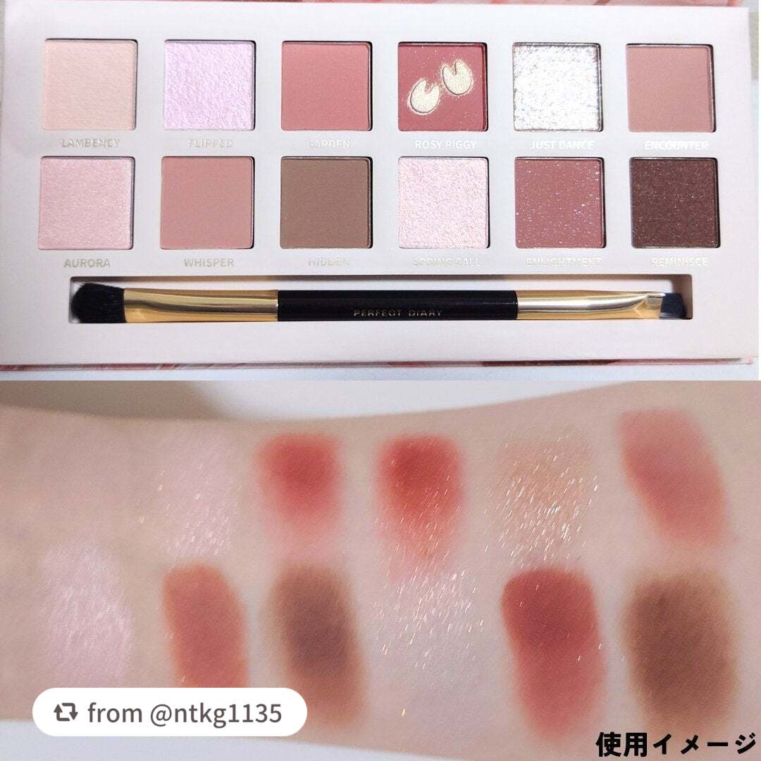 エクスプローラ12色 動物アイシャドウパレット/PERFECT DIARY/アイシャドウパレットを使ったクチコミ(2枚目)