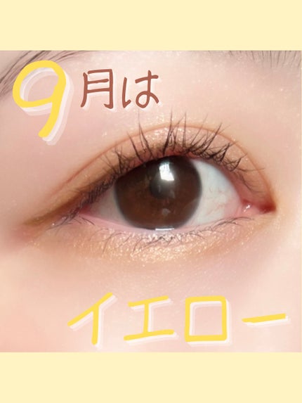 リアルクローズシャドウ/excel/アイシャドウパレットを使ったクチコミ(1枚目)