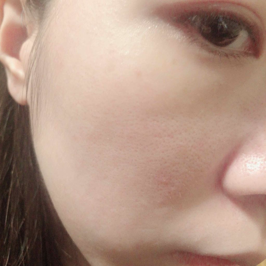 ノーポアブレム　パクト/touch in SOL /プレストパウダーを使ったクチコミ（2枚目）