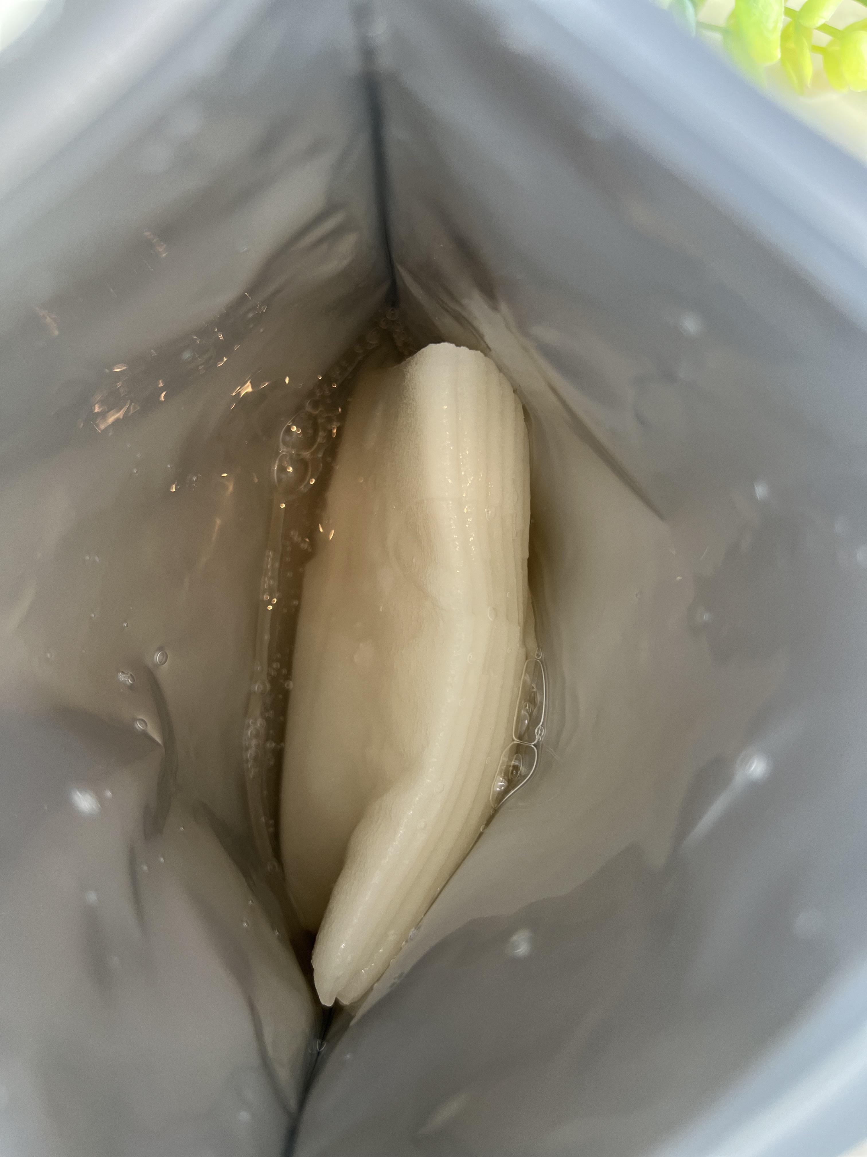 シートマスク ヒト幹細胞×VC200/CICIBELLA/シートマスク・パックを使ったクチコミ（2枚目）