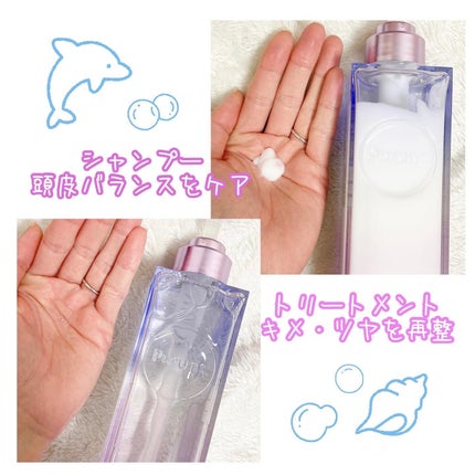 プルント リライト美容液シャンプー/トリートメント/Purunt./市販シャンプーを使ったクチコミ(3枚目)