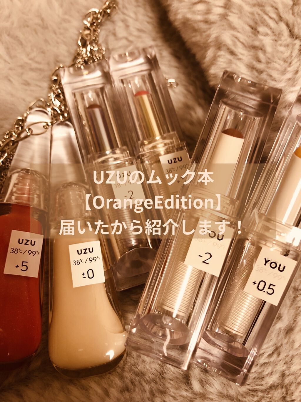  38°C / 99°F Lipstick <TOKYO>/UZU BY FLOWFUSHI/口紅を使ったクチコミ（1枚目）