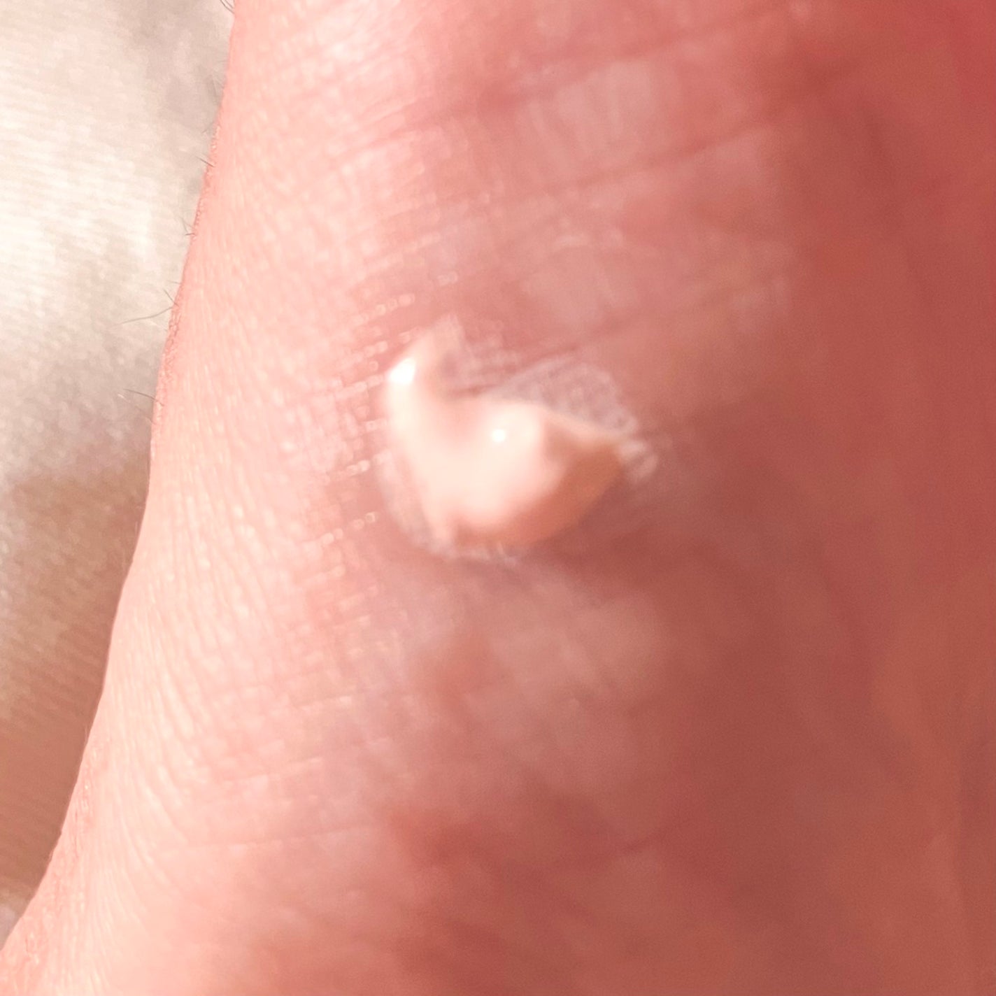 モイスチャーメイクアップサンクリーム/HOLIKA HOLIKA/日焼け止めクリームを使ったクチコミ(2枚目)