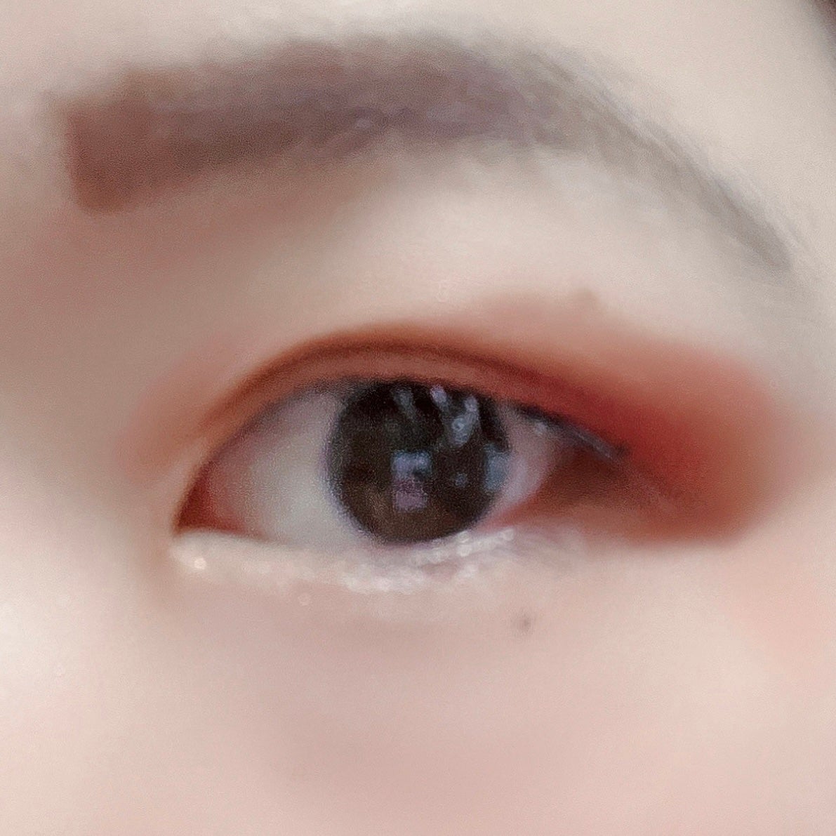 干支シリーズ卯年9色アイシャドウパレット/COLORKEY/アイシャドウパレットを使ったクチコミ(4枚目)