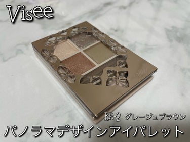 パノラマデザイン アイパレット/Visée/アイシャドウパレットを使ったクチコミ（1枚目）