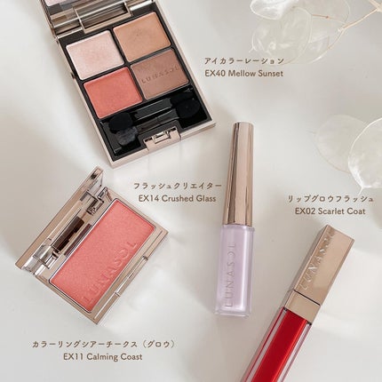 アイカラーレーション/LUNASOL/アイシャドウパレットを使ったクチコミ(2枚目)