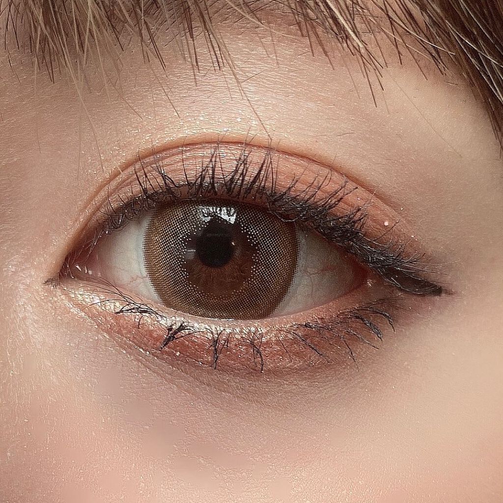 ナイストゥミーチュートランク/MAJOLICA MAJORCA/アイシャドウパレットを使ったクチコミ(5枚目)