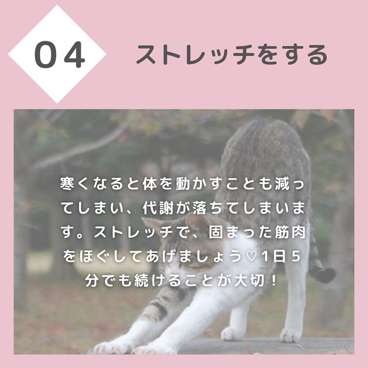 ちゃも on LIPS 「こんにちはちゃもです🐱今回は、ダイエットweek第2弾🔥クリス..」(6枚目)